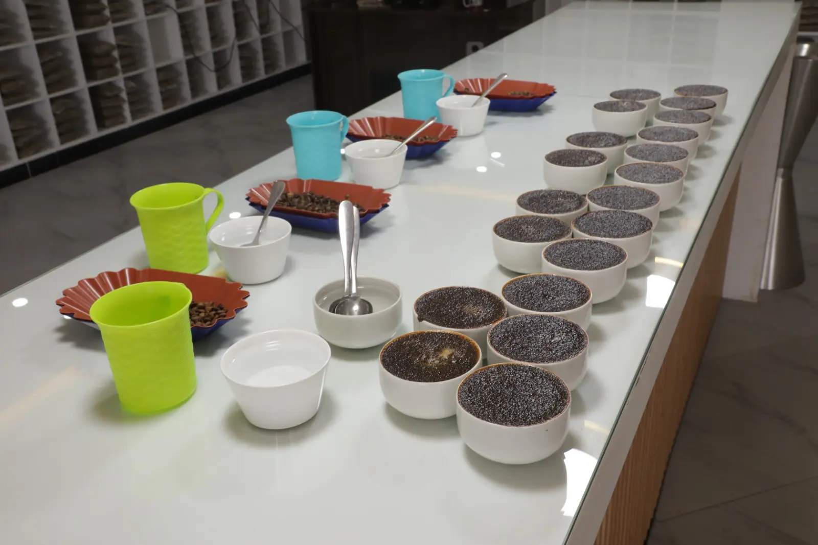 Ethiopian Coffee Bean Types