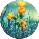 Varna r v profile picture