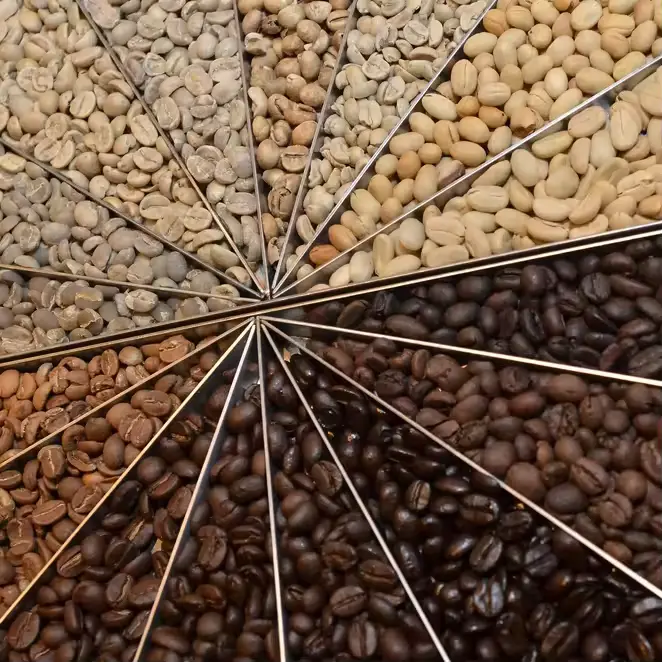 Why Some Coffee Grades Cannot Be Sold in the Local Market