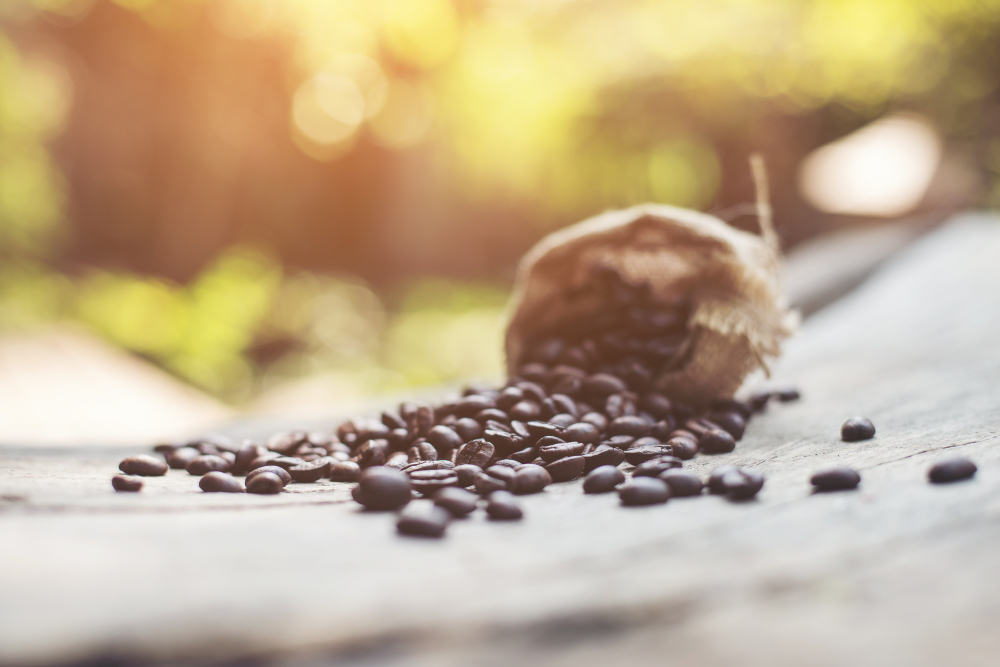  How Soil Conditions Influence Ethiopian Coffee Quality